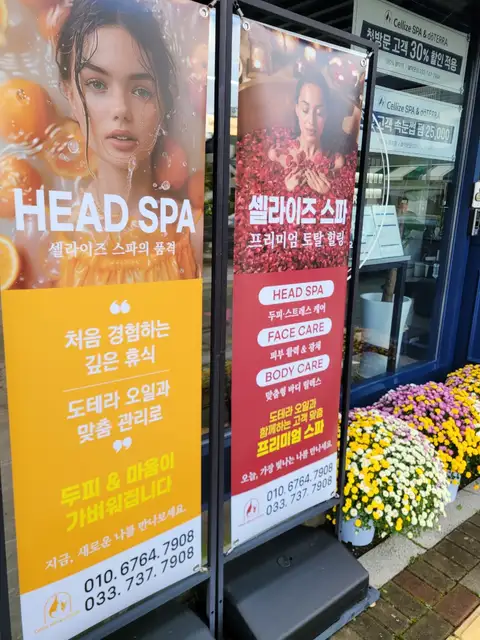셀라이즈스파 사진 2