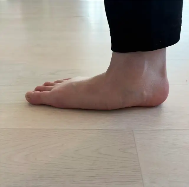 산책 사진 1