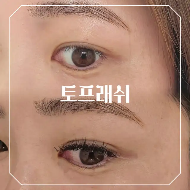 토프래쉬 사진 5