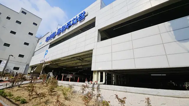 미그리다 사진 4