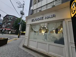 엘로디헤어 사진