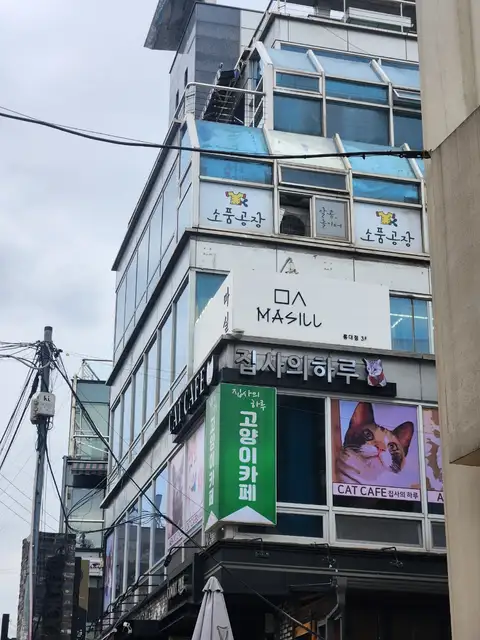 마실 홍대점 사진 4