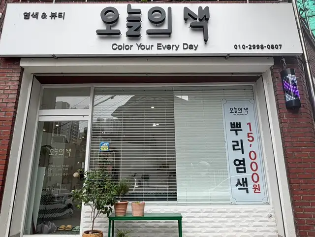 오늘의색 사진 7
