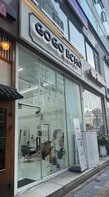 고고에코 사진 3