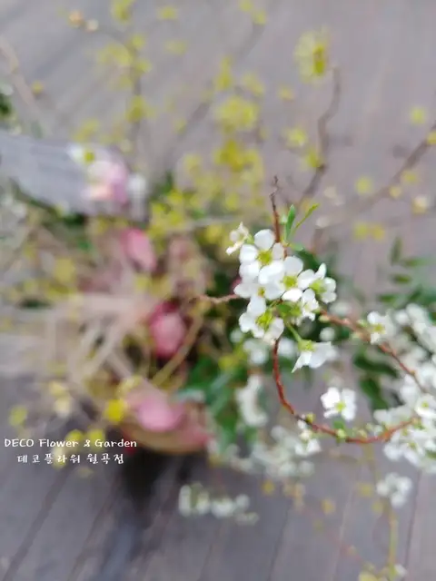 최가을헤어드레서 돈암점 사진 6