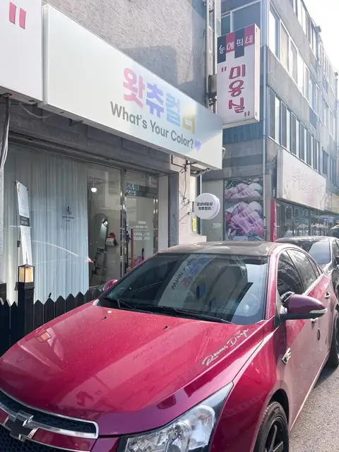 왓츄컬러 사진 4