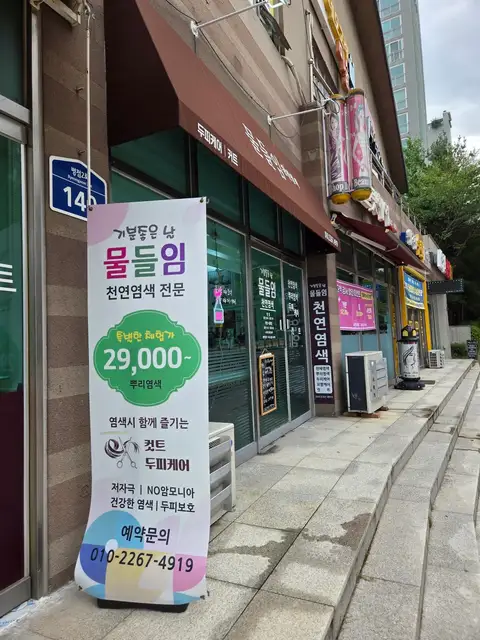 물들임 사진 4