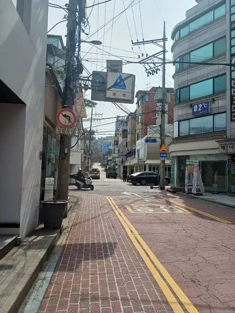 하퓰러 사진 6