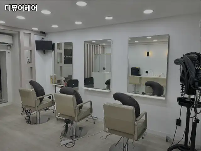 디뮤어헤어 사진 1