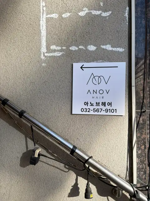 아노브헤어 사진 3