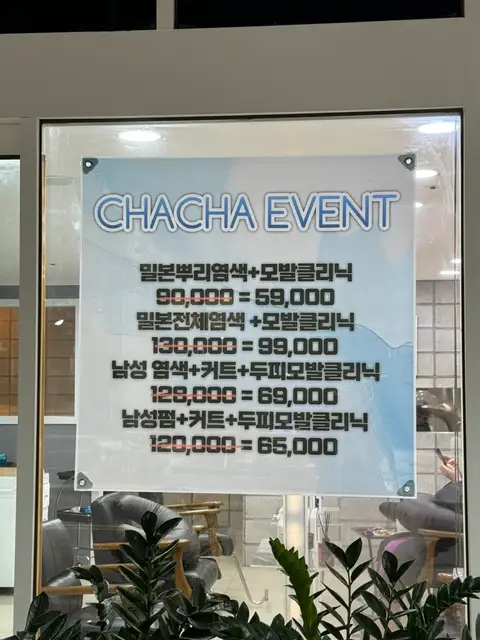 차차살롱 사진 6