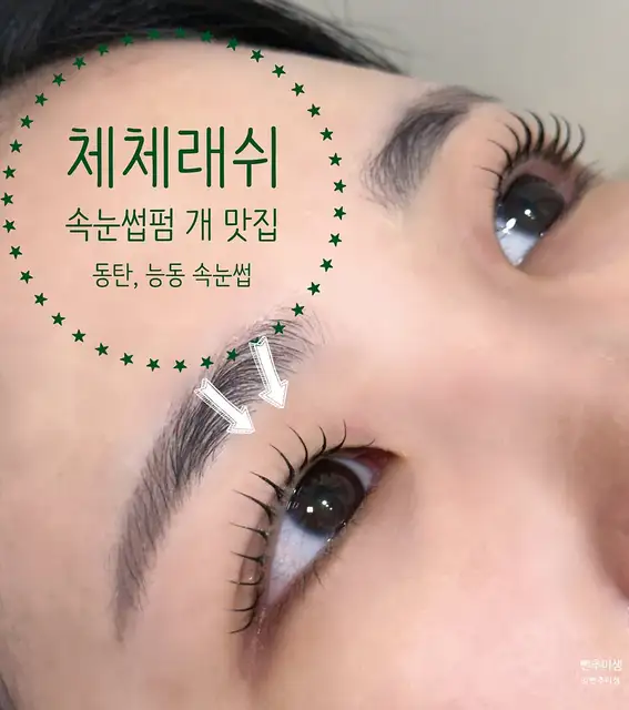 체체 사진 2