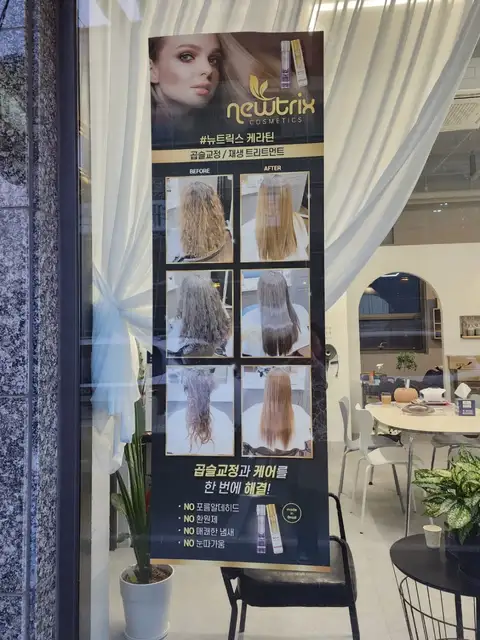 살롱 송 사진 2