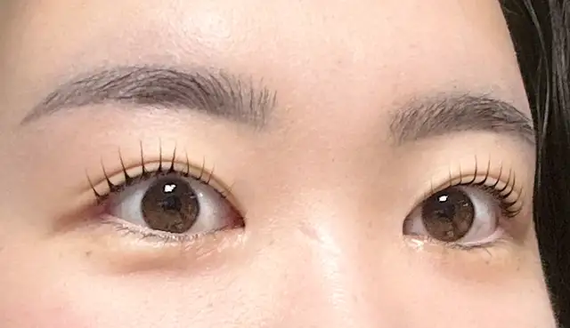 브로우앤 사진 7