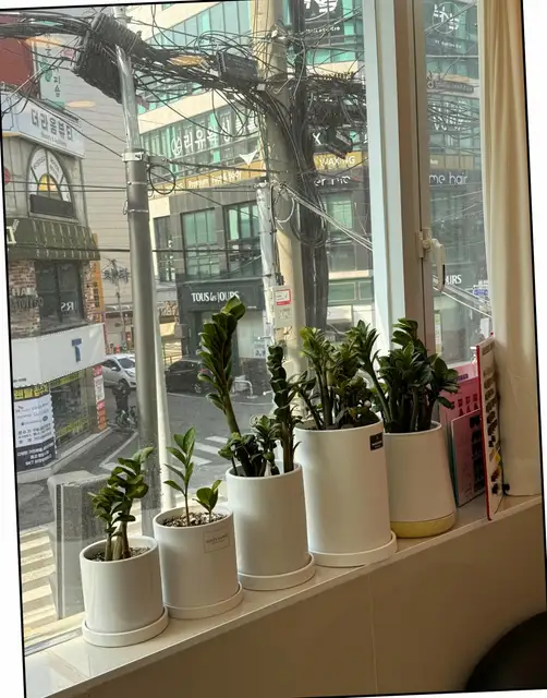 아이드블랑 의정부역점 사진 5