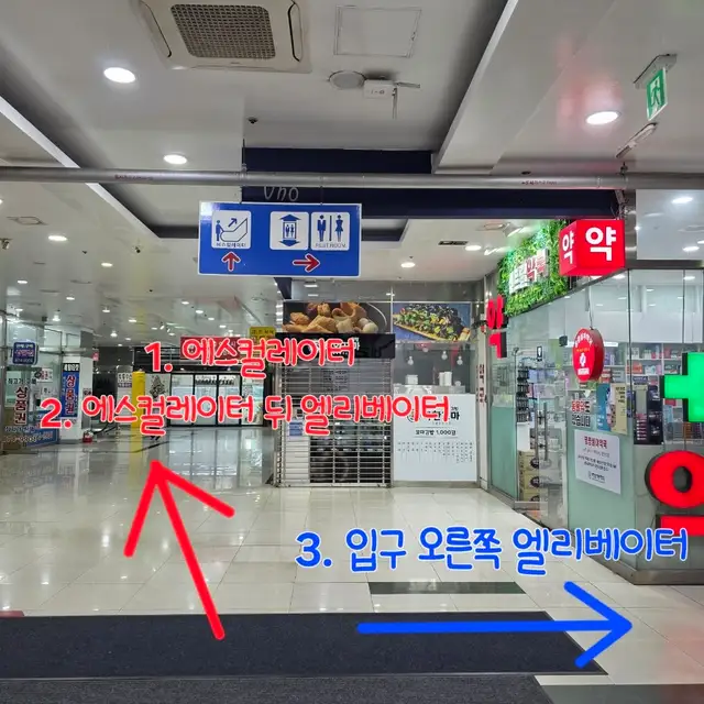 브로우아리아 사진 3