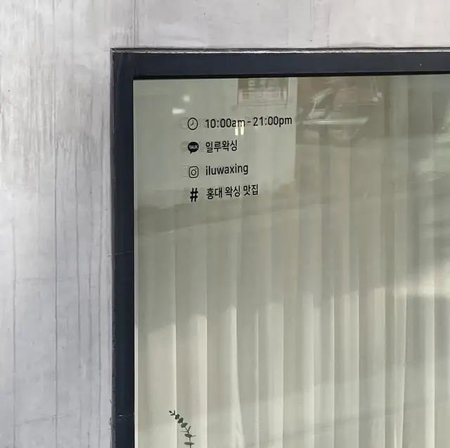 일루왁싱 사진 8