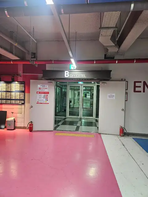 라콘헤어 사진 6