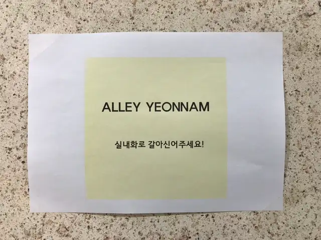앨리연남브로우 사진 8