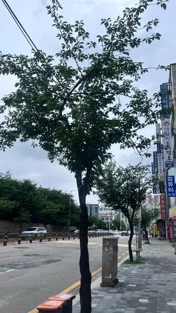 도도필라테스 사진 2