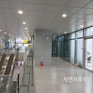 자연브로우 사진