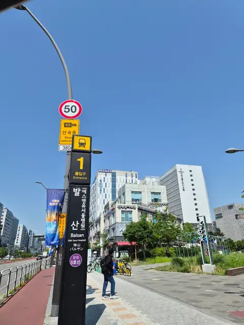 라몽드 사진 3