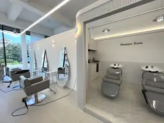 비플로르 사진