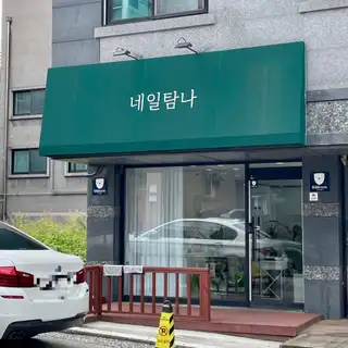 네일탐나 사진