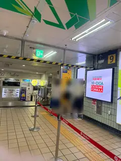 수아이래쉬 사진