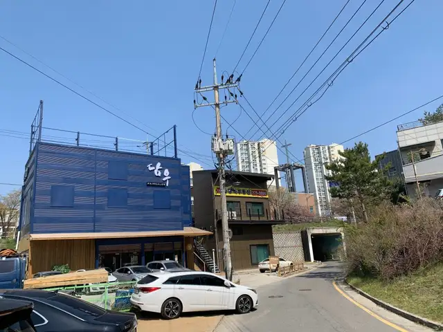 담우 사진 3