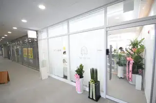 뮤즈오헤어 사진