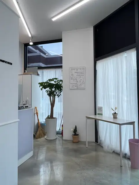 버니헤어 사진 2