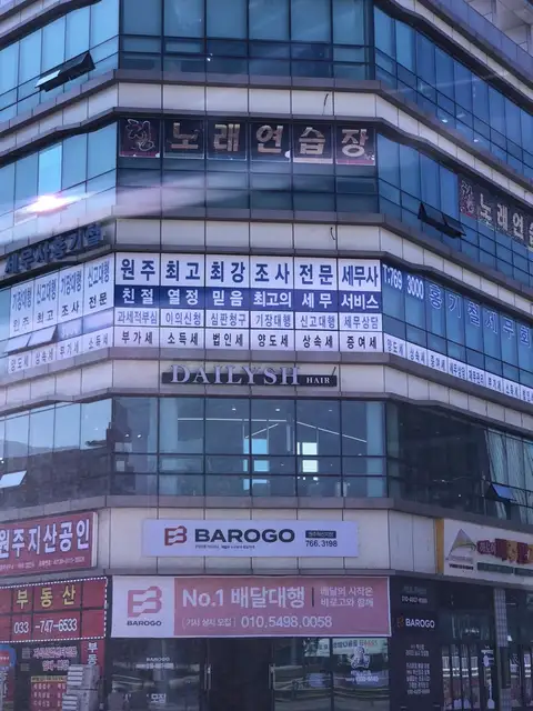 데일리시 사진 8