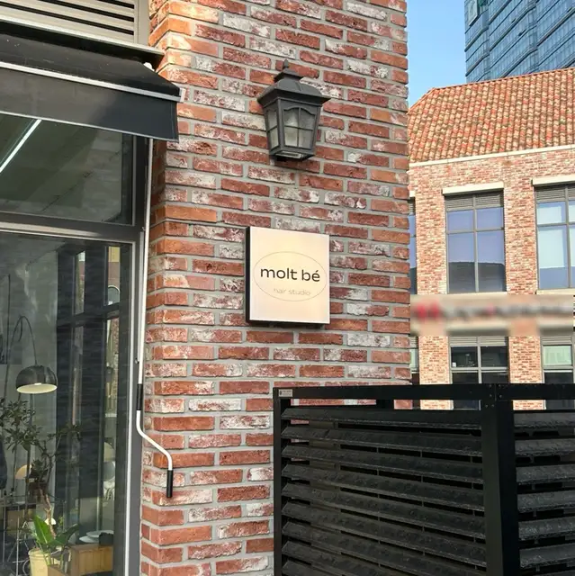 몰트베 사진 3