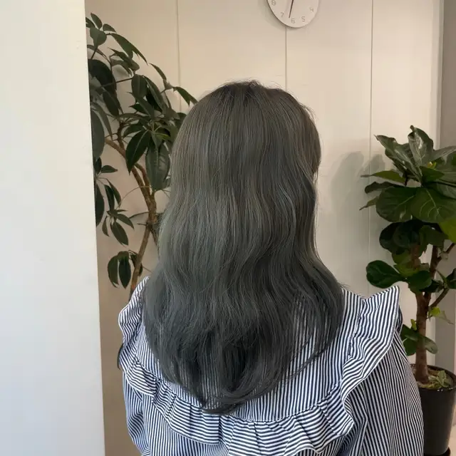 르봄 사진 4