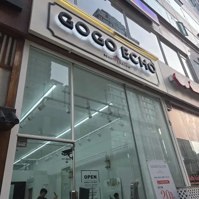 고고에코 사진 8