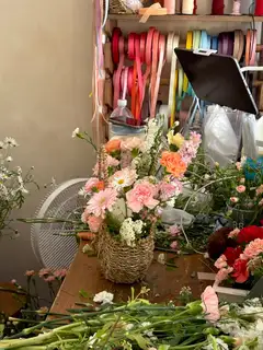 브로우바이빈 사진
