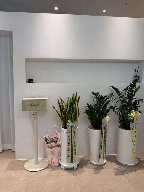 시드 에스테틱 사진 2