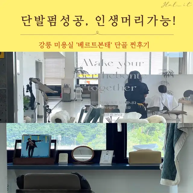 베르트본태 사진 7