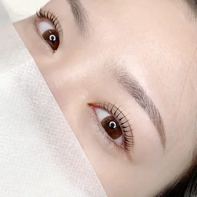 레브로우 사진 4