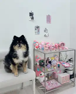 멜리네일 사진