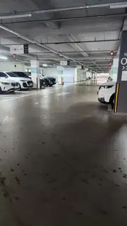 온드 에스테틱 사진