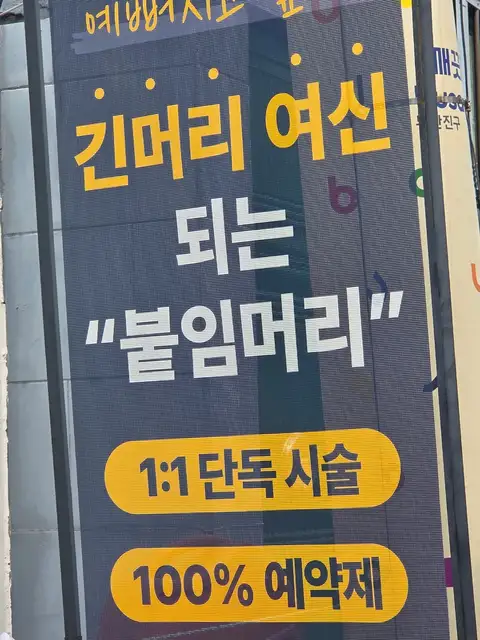 붙임머리잇다 사진 6