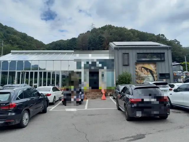 밤부 사진 3
