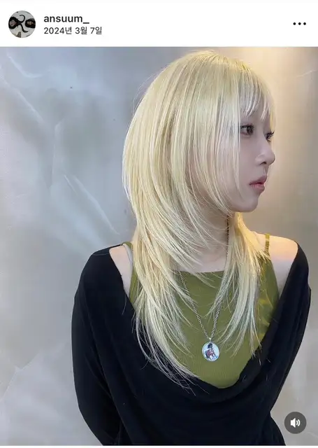투스 사진 6