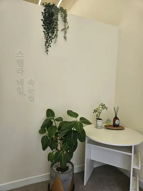 브로우아 사진 3