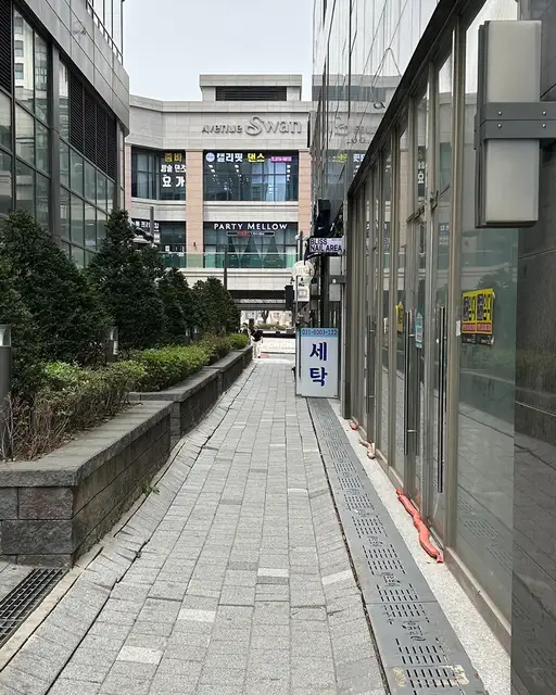 블리스네일 사진 2