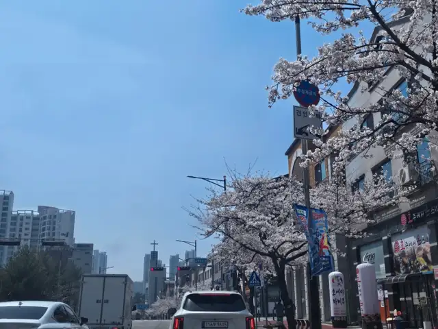 장장헤어 사진 5