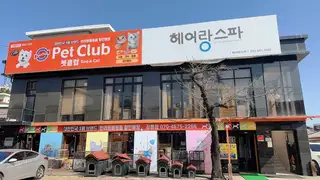 헤어랑스파 사진