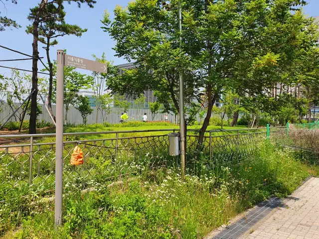 예쁜마녀속눈썹 사진 2